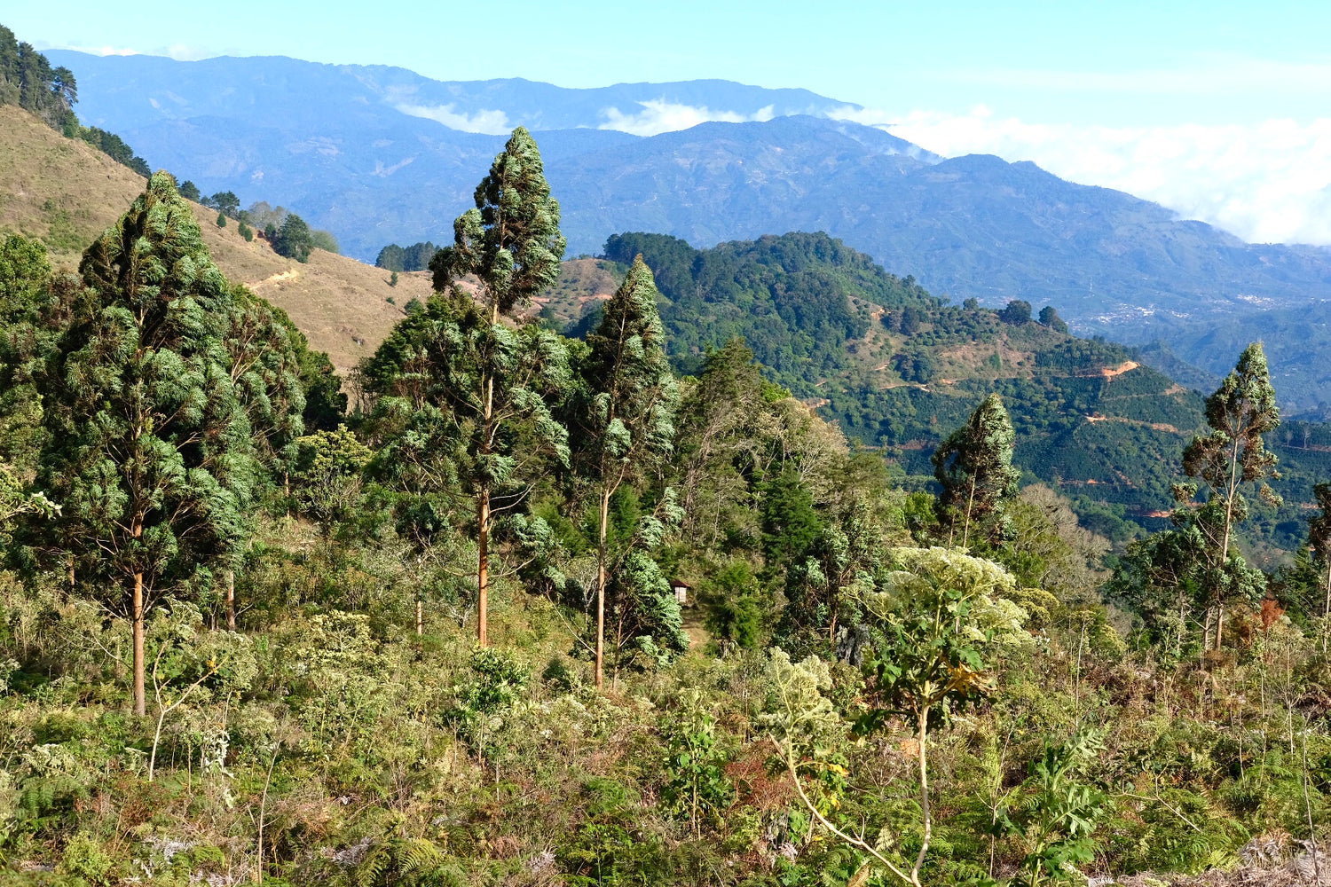 Voyage à la source 2020: La Lía au Costa Rica